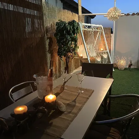 Summer Diamond 클레마스티