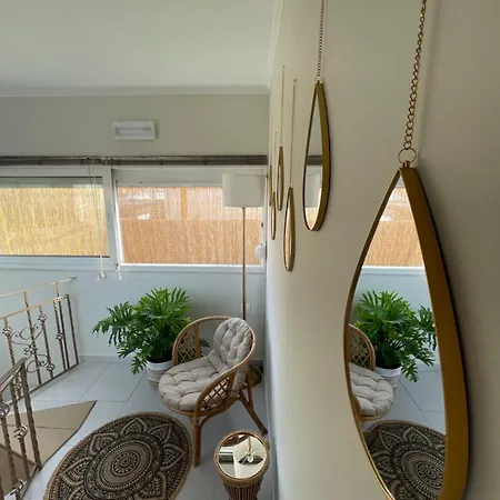 Summer Diamond 클레마스티