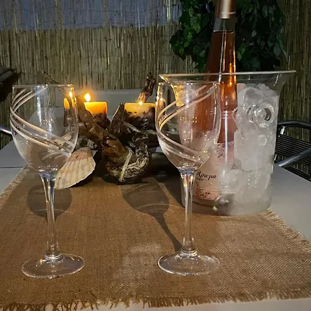 Summer Diamond 클레마스티