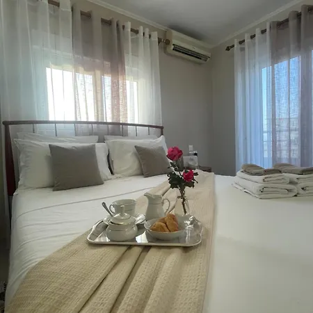 Summer Diamond 클레마스티