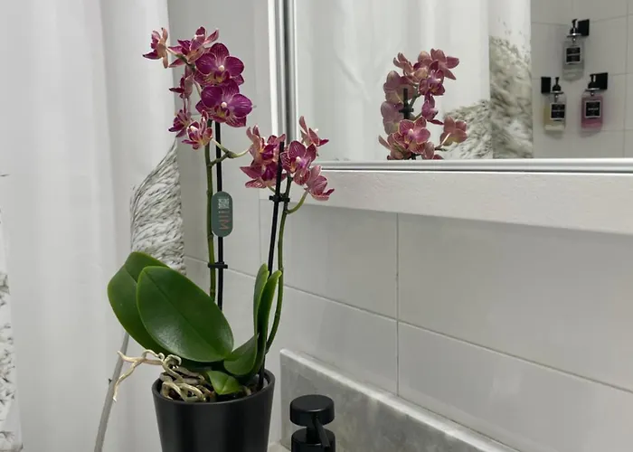 Apartment Summer Diamond Kremasti (Rhodes)